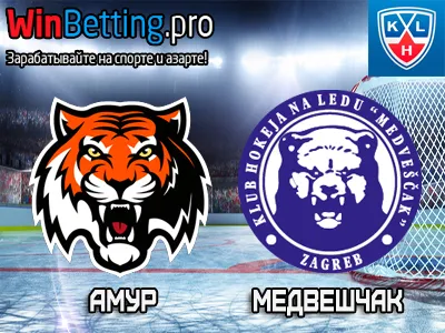 Амур - Медвешчак Загреб 26.01.2017. Прогноз, ставки и коэффициенты на матч