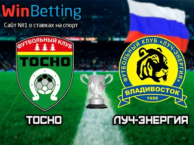 Тосно - Луч-Энергия 28.02.2018. Прогноз, ставки и коэффициенты на матч