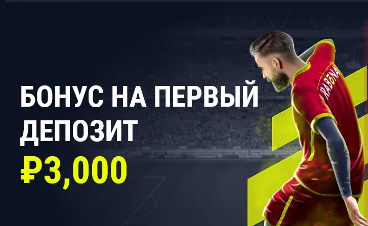 Акции и бонусы2