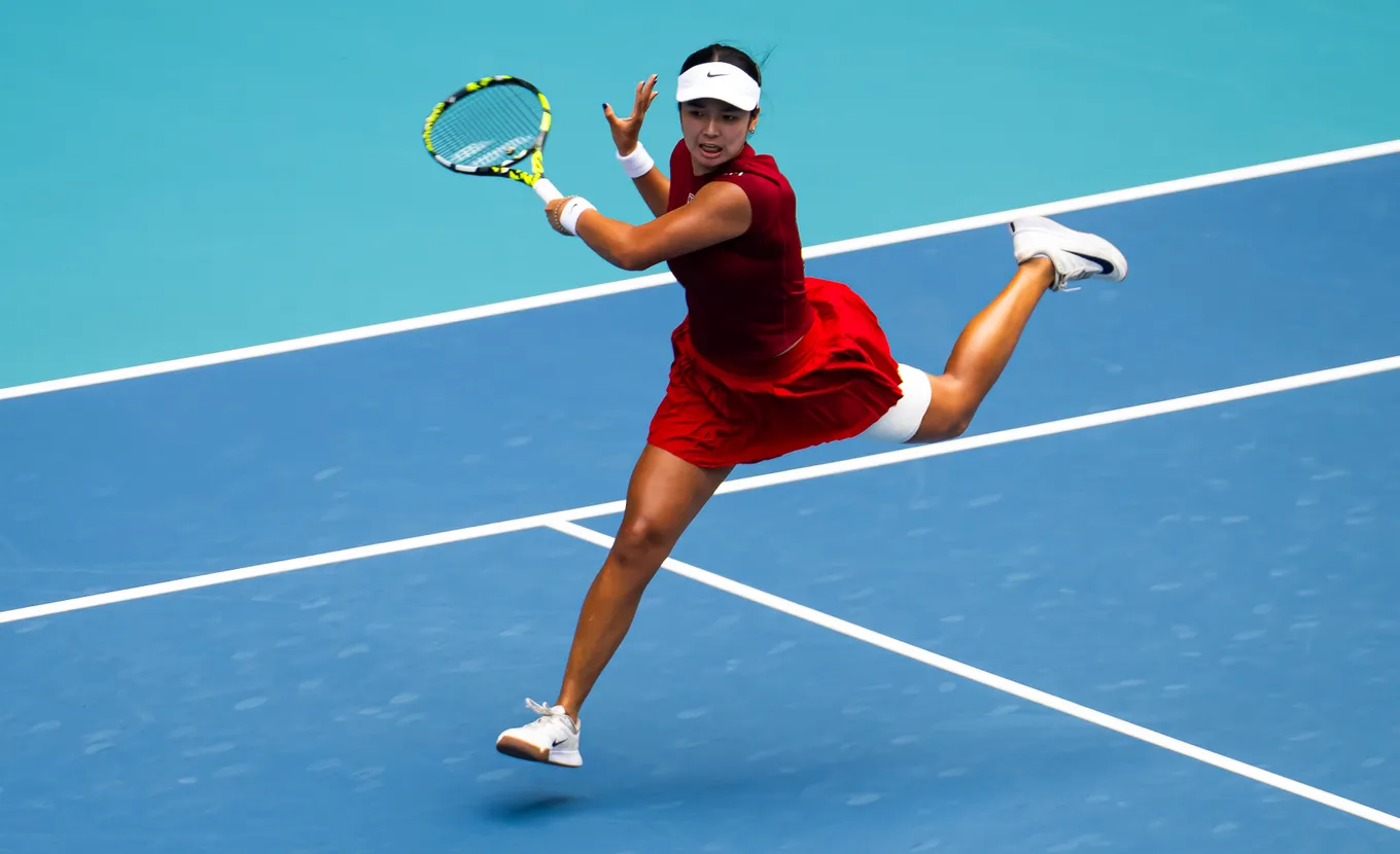 Эала – Чжэн прогноз и ставки на матч WTA Вашингтон 27 июля 2026 года