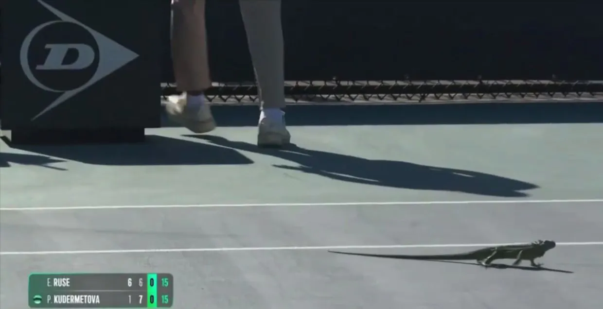 п