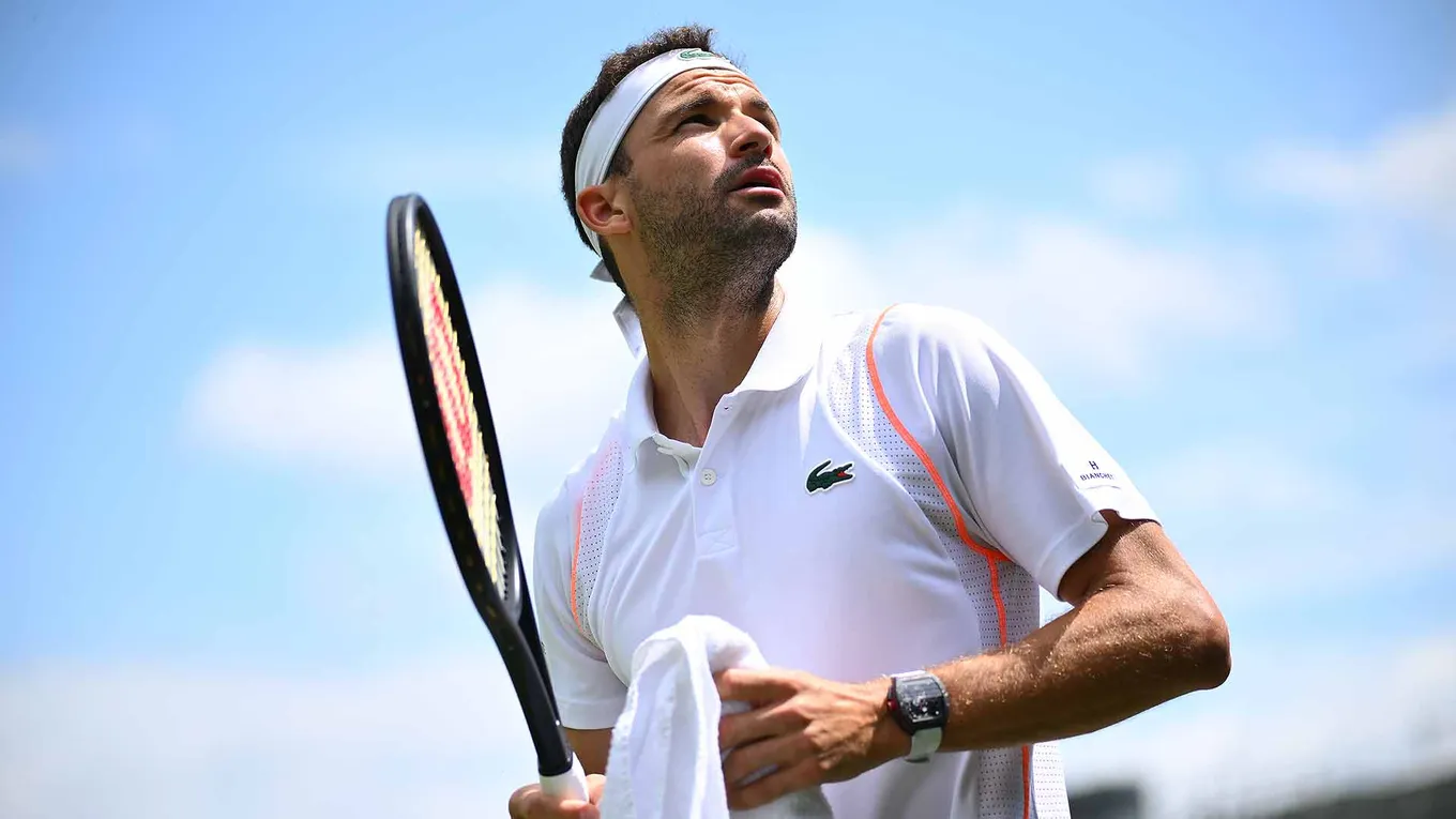 Полманс – Димитров прогноз и ставки на матч ATP Майорка 23 июня 2026 года