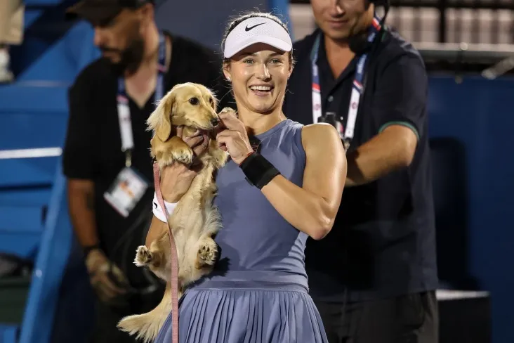 Такса Калинской выбежала на корт после победы хозяйки в турнире WTA в Вашингтоне