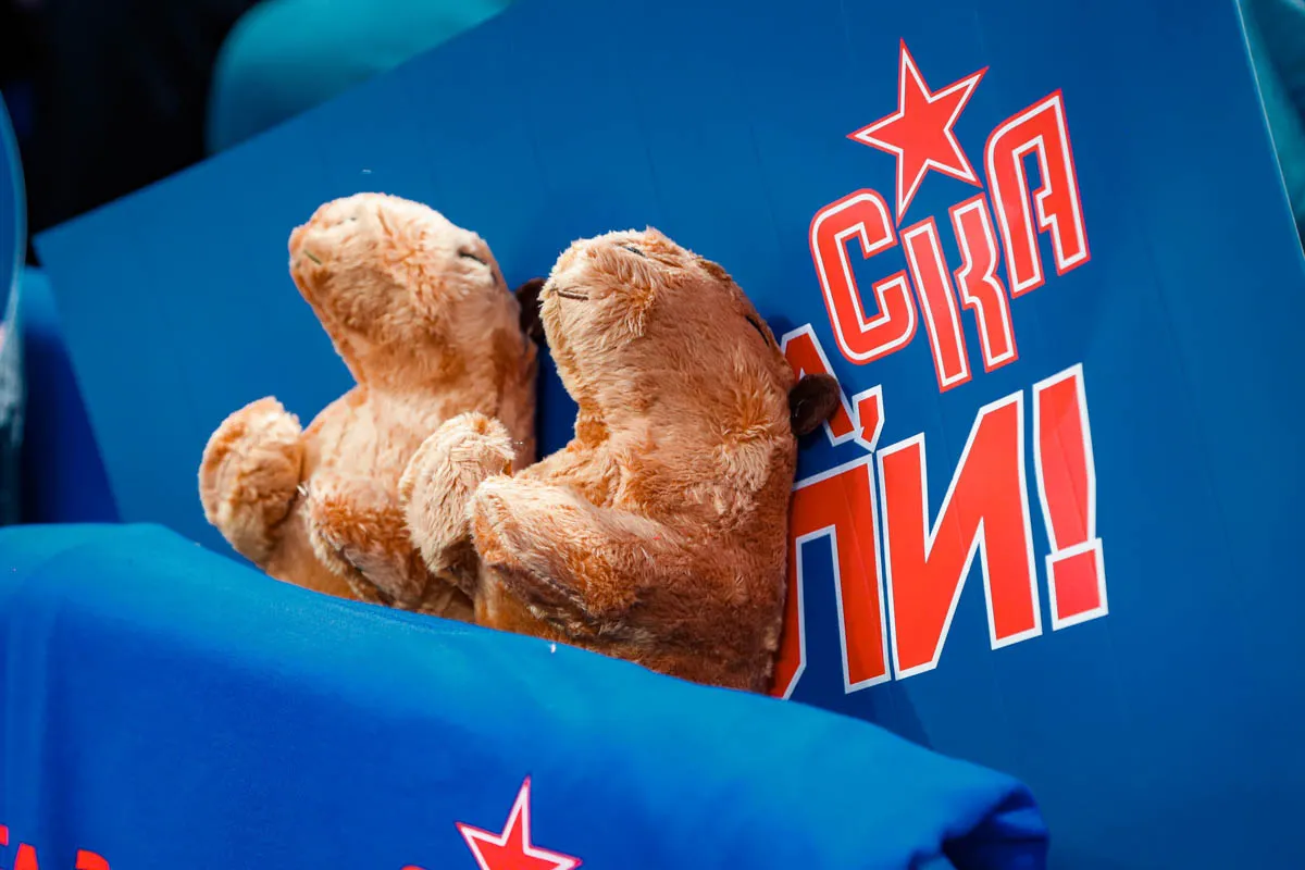 Фото: ХК СКА