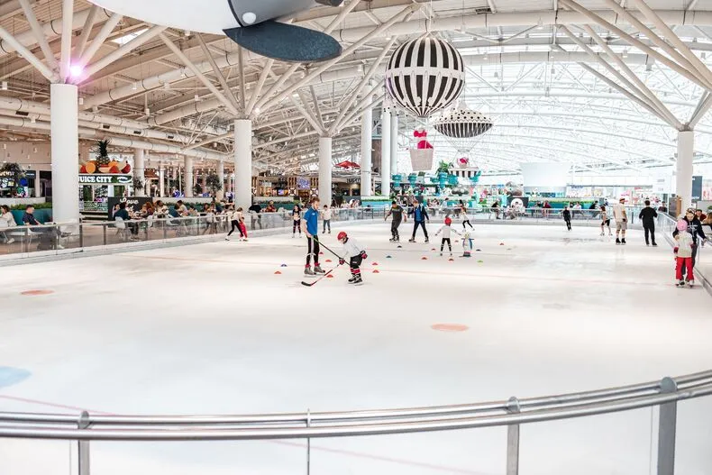Фото: Mega Ice