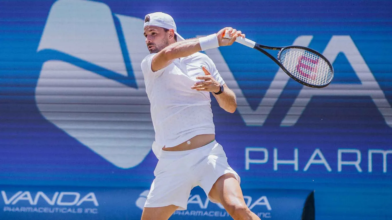 Димитров – Давидович Фокина прогноз и ставки на матч ATP Майорка 25 июня 2026 года