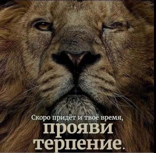 Дзюб