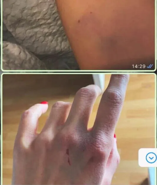 Скриншот из переписки
