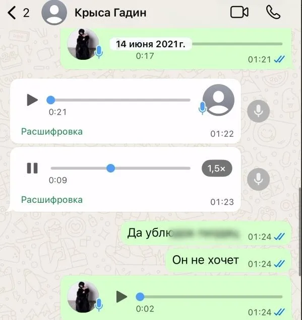 Скриншот переписки Аланы и Надежды Мамаевых