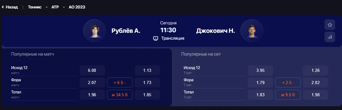 Винлайн Андрей Рублев – Новак Джокович