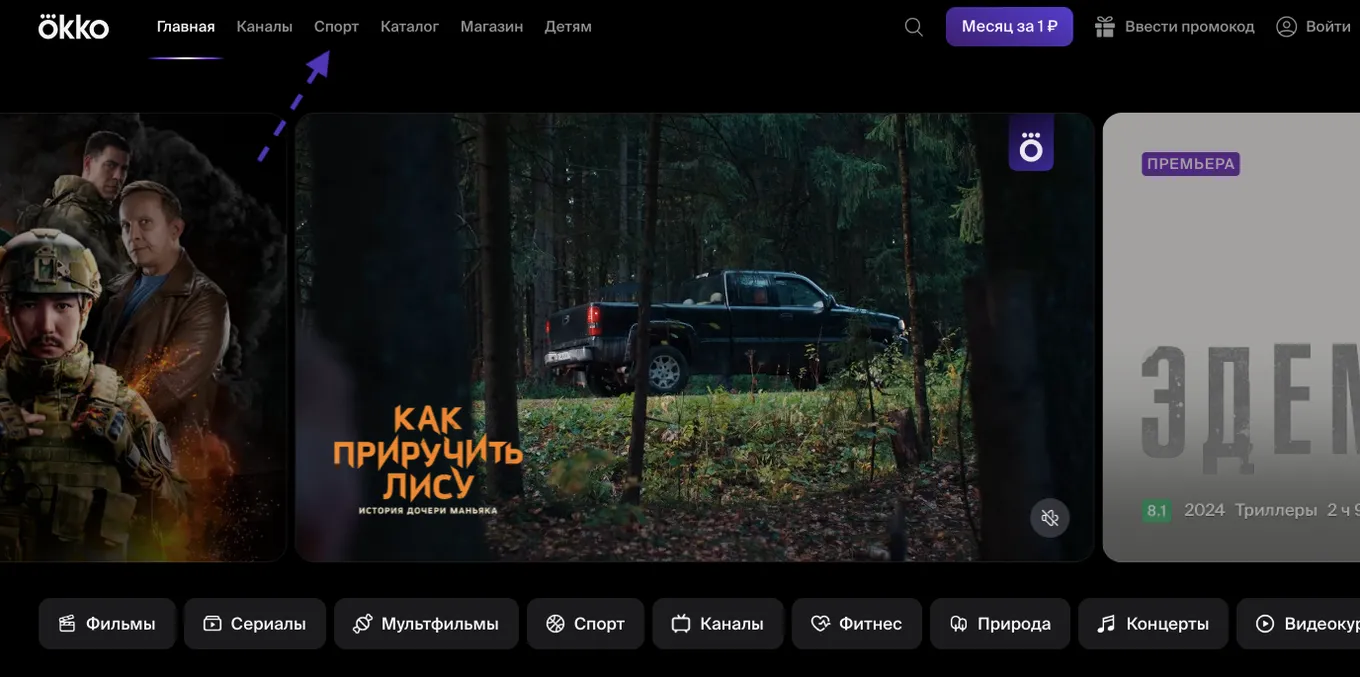 Сервис Okko
