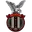 Team logo