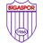 Бигаспор