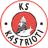 Team logo