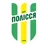 Полесье Житомир (19)