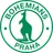 Богемианс 1905 II