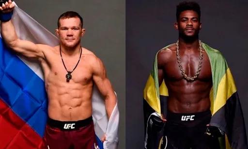 Где смотреть бой Петр Ян — Алджамейн Стерлинг, реванш в UFC 10 апреля