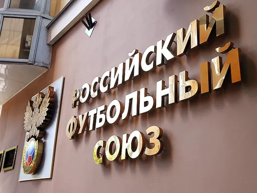 РФС и Федерация футбола Франции договорились о сотрудничестве в области технического развития