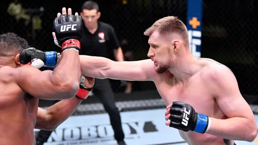 Дзюба поздравил Волкова с победой над Оверимом на UFC Vegas 18