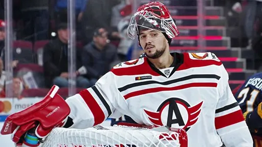 Коварж: даже Третьяк вспотел бы, играя за «Автомобилист»