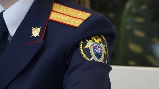 Следственный комитет завел уголовное дело после смерти юного хоккеиста школы СКА
