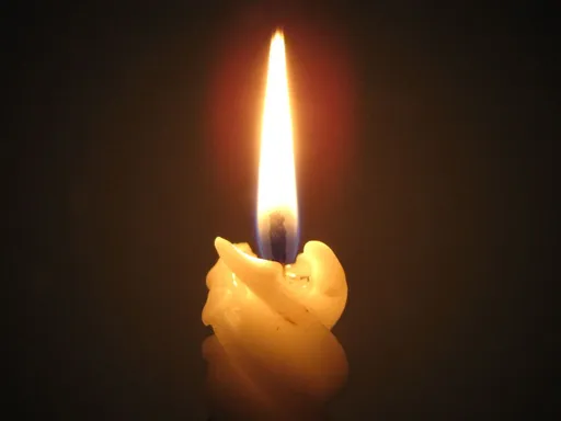 27-летний экс-хоккеист «Молота» Егор Сорокин погиб в зоне СВО