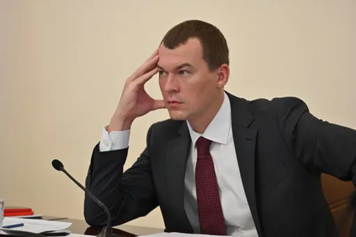 Дегтярёв высказался о восстановлении прав ОКР