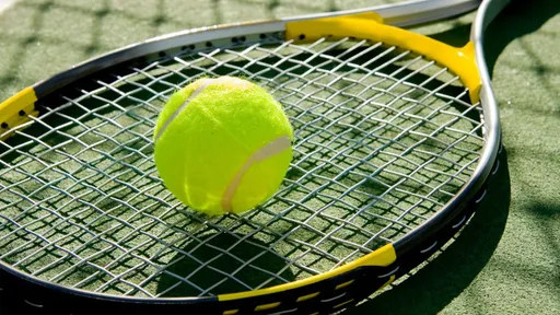 WTA и ITF впервые раскрыли масштаб оскорблений теннисистов в соцсетях
