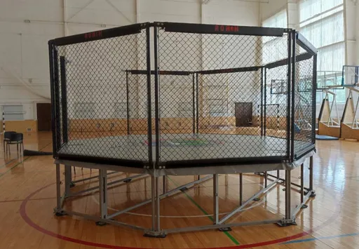 На Кубке ММА в Белогорске 16-летний боец умер от удара в голову