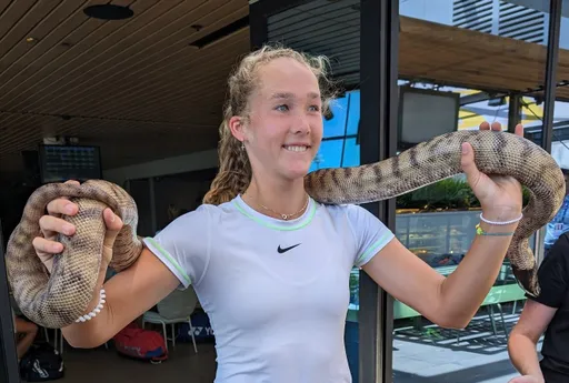 Джокович с кенгуру, Касаткина с коалой, а Рублёв со змеёй: на Australian Open привезли зоопарк