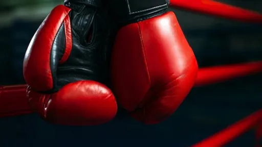 Спортсменки из Подмосковья одержали победу на международном турнире по боксу