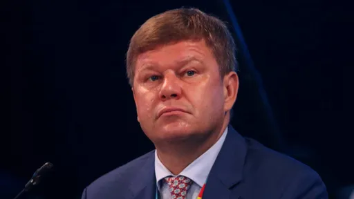 Губерниев: не удивлюсь, если Fan ID будет на соревнованиях по гребле
