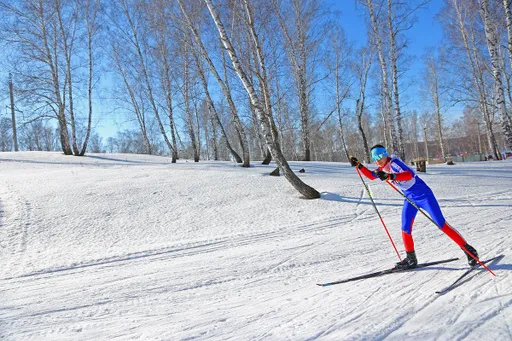 Самарская область 28 декабря примет турнир «Лыжня чемпионов»