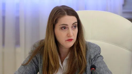 Анцелиович: не факт, что Россия обязана выдать Промеса Нидерландам