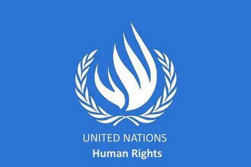 Эксперты ООН заявили о необходимости допустить российских спортсменов до международных стартов
