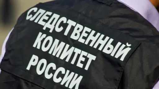 Следственный комитет приступил к доследственной проверке по факту смерти Гришина
