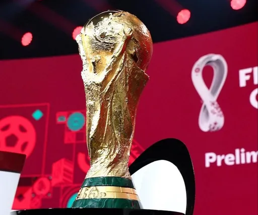 FIFPro выступила против проведения чемпионатов мира зимой