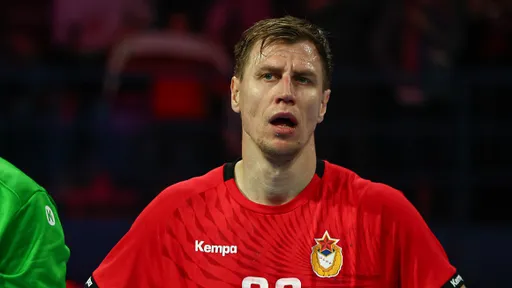 Гандболист Шишкарёв: Fan ID не идёт на пользу российскому футболу