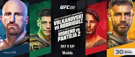Два титульника и элиминатор ради Адесаньи. Зачем смотреть турнир UFC 290?