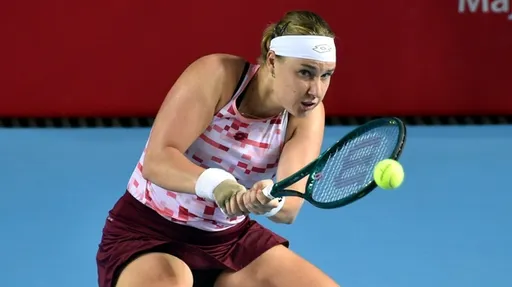 Блинкова обыграла Свитолину на турнире WTA в Линце