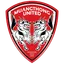 Team logo
