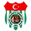 Team logo