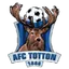Team logo