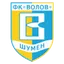 Team logo