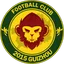Team logo