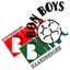 Team logo