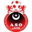 Team logo