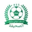 Team logo