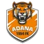Team logo