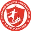 Team logo